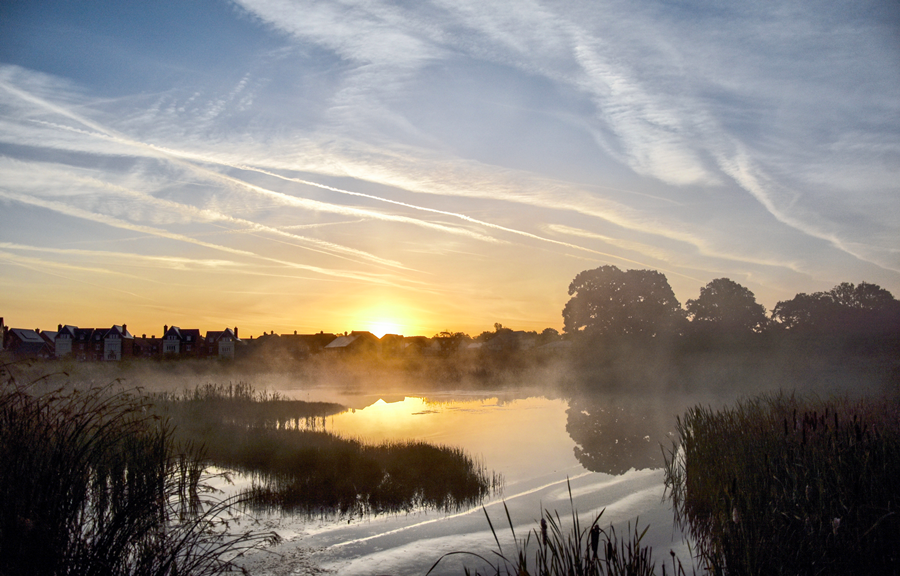 Abbotswood area for Nature Conservation