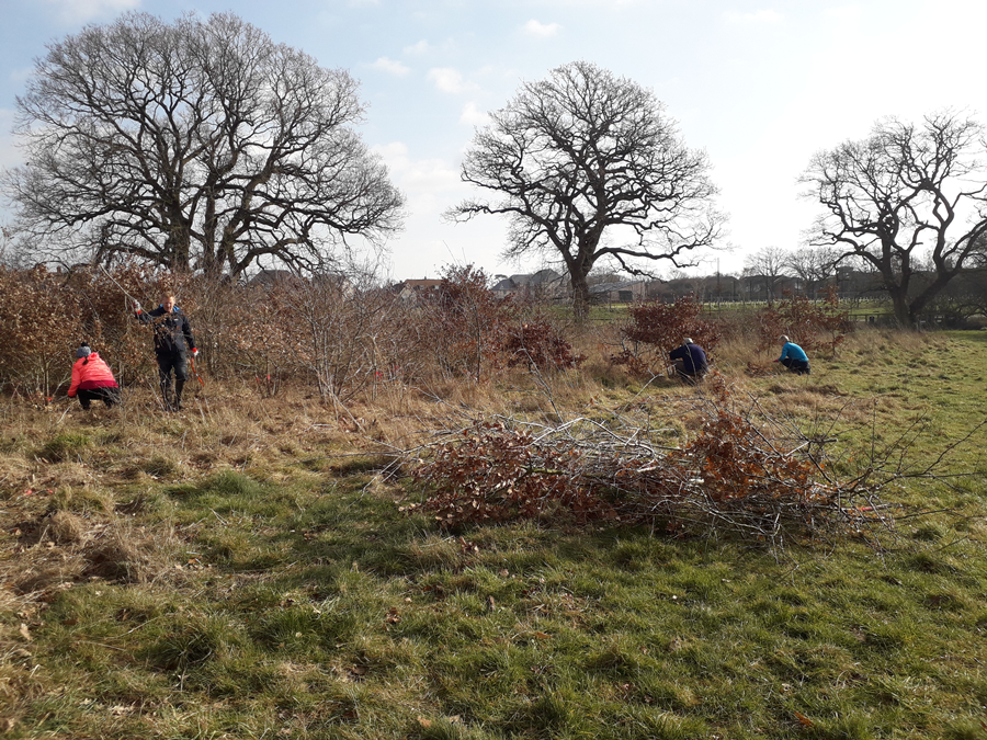 Abbotswood conservation work in progress