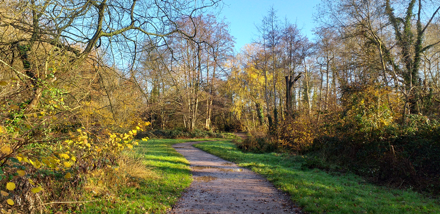 Tadurn meadows local nature reserve walking path