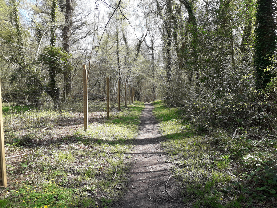 Valley Park Local Nature Reserve