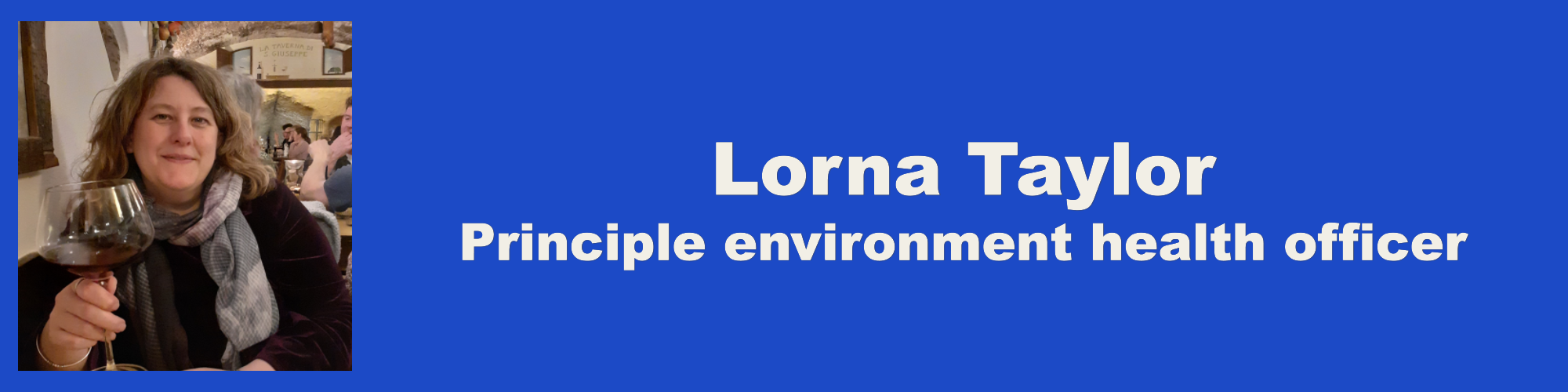 Lorna Taylor banner