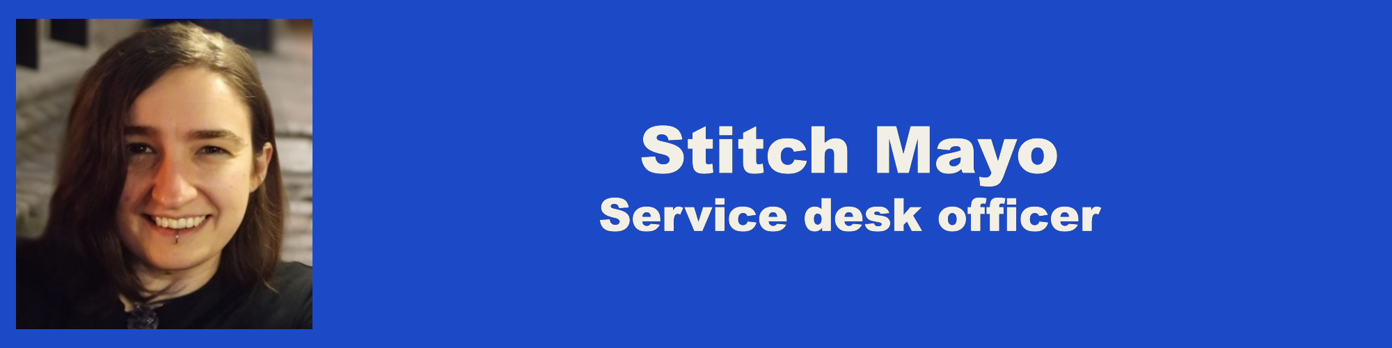 Stitch Mayo banner