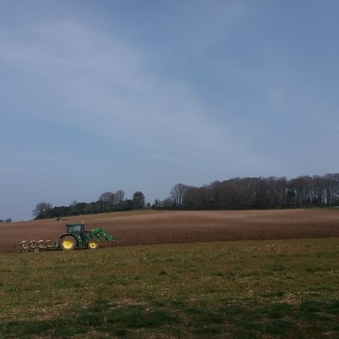 Bury Hill Meadows, tractor working across the meadow