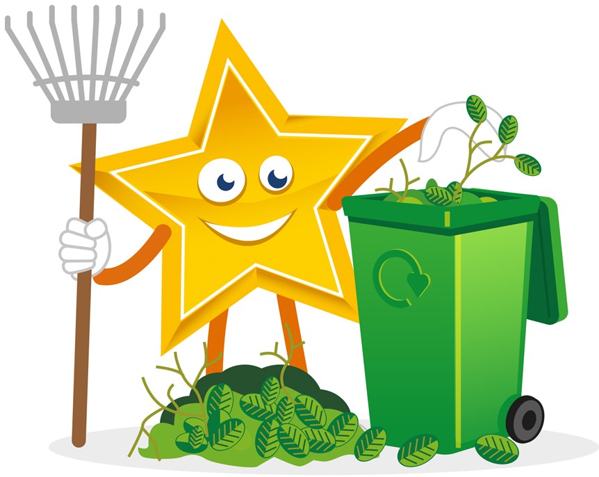 Recycling Star with Garden Waste Wheeled Bin