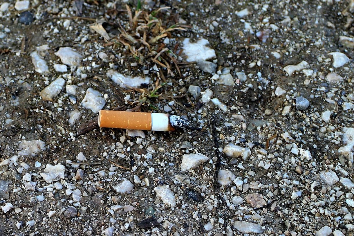 Littered cigarette butt