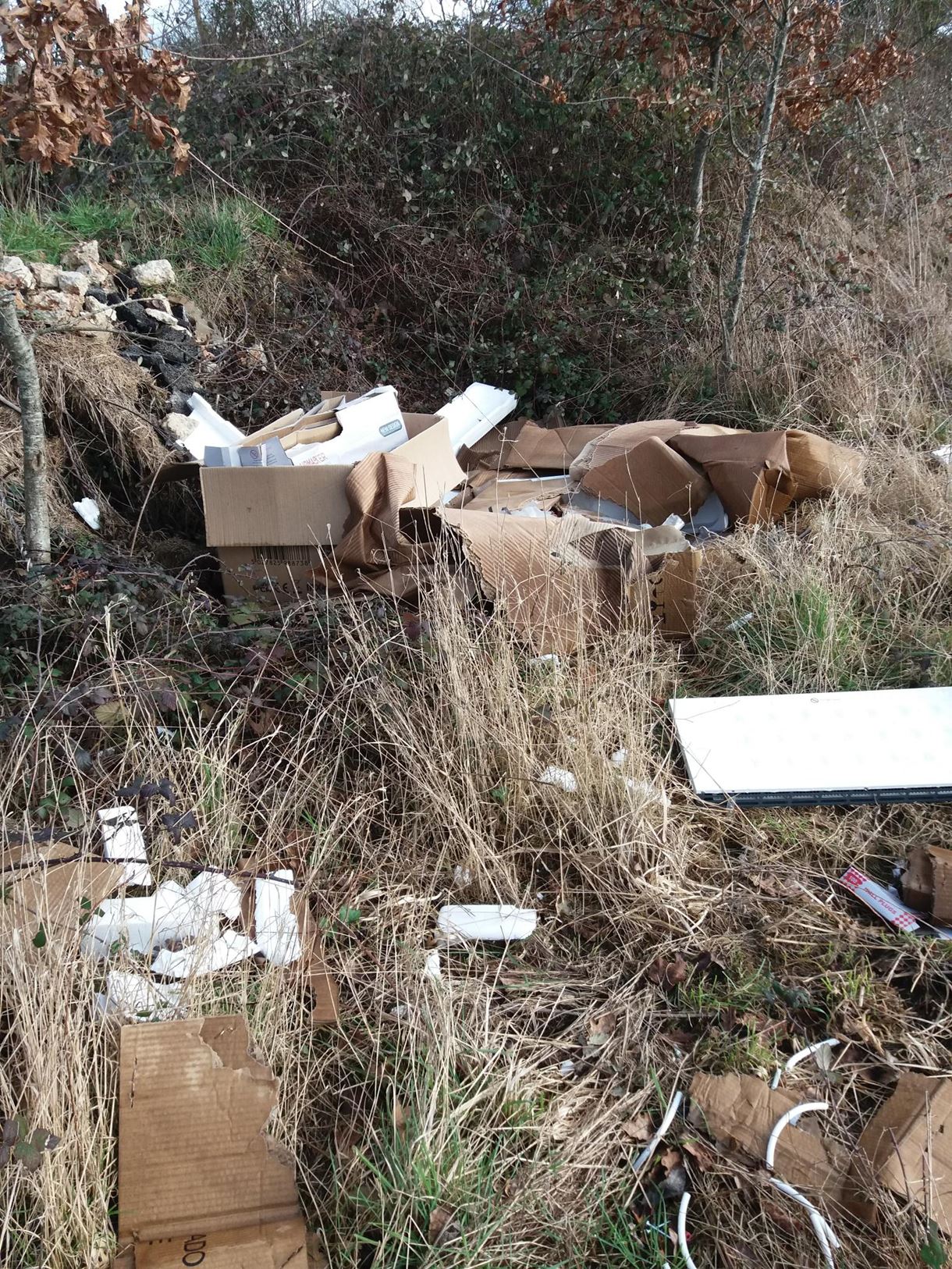 dumped storge heaters, cardboard boxes and plastic packaging near Lee Lane