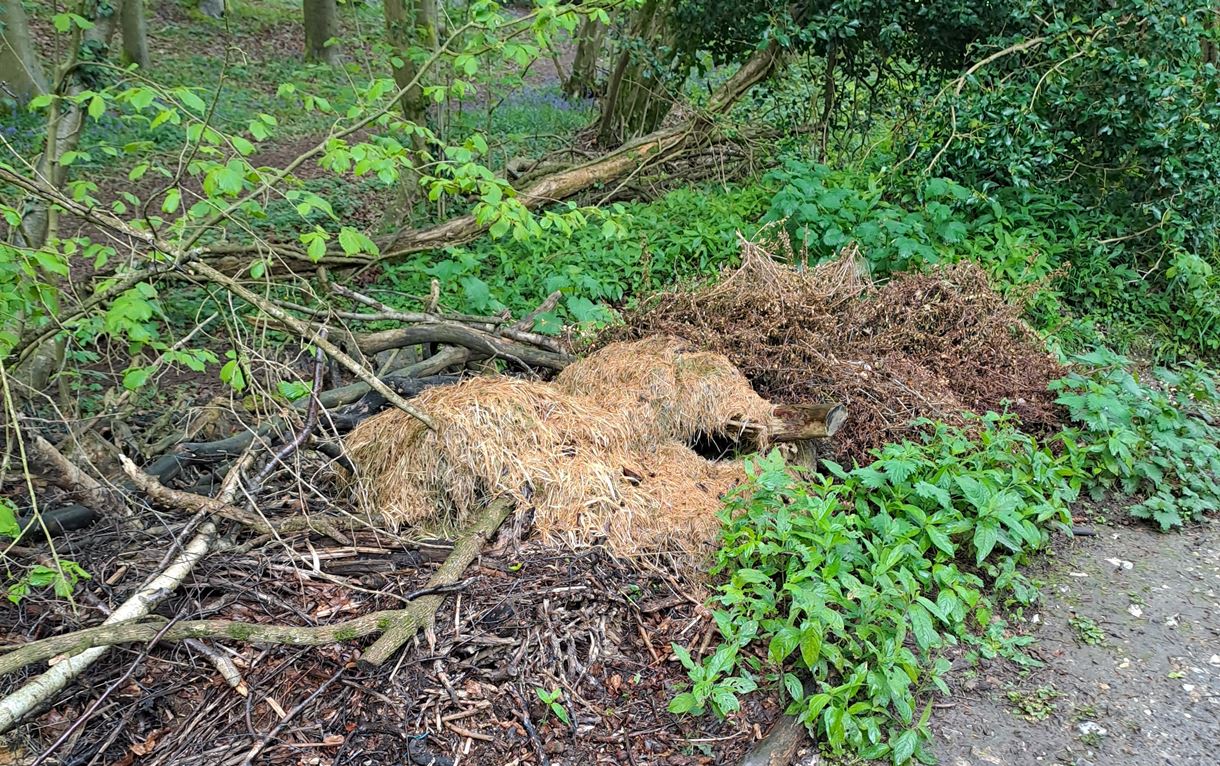 Garden waste dumped in Test Valley