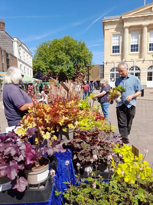 Andover Gardening Fair 2025